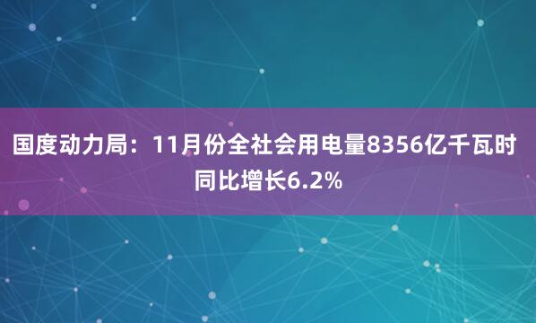 国度动力局：11月份全社会用电量8356亿千瓦时 同比增长6.2%